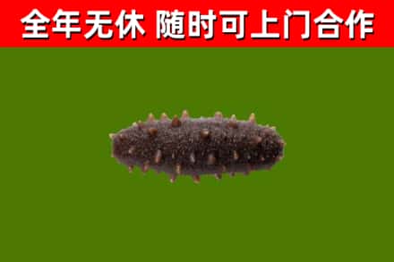 雨城烟酒回收干海参.jpg